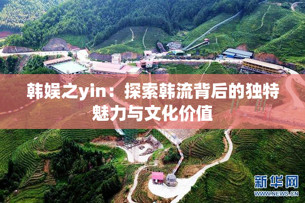 韩娱之yin：探索韩流背后的独特魅力与文化价值
