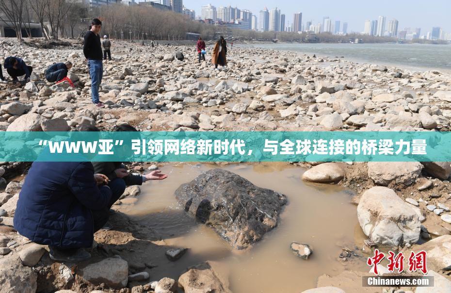 “WWW亚”引领网络新时代，与全球连接的桥梁力量