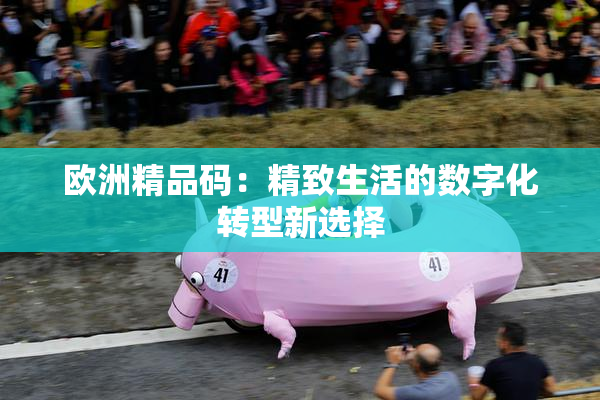 欧洲精品码：精致生活的数字化转型新选择