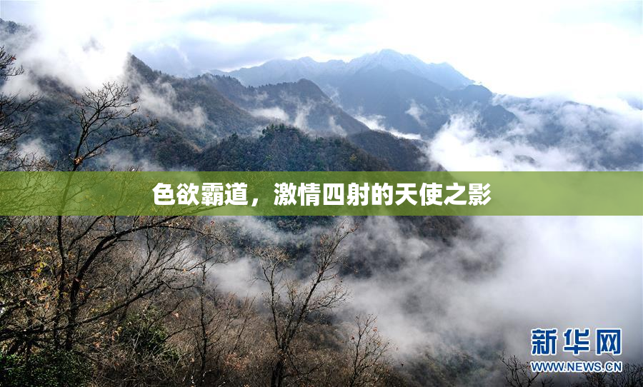 色欲霸道，激情四射的天使之影
