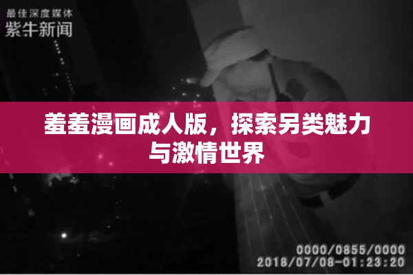 羞羞漫画成人版，探索另类魅力与激情世界