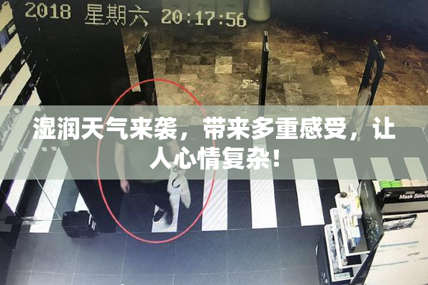 湿润天气来袭，带来多重感受，让人心情复杂！
