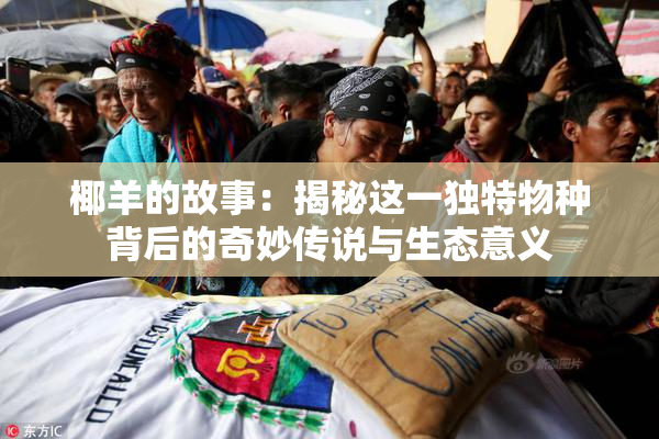 椰羊的故事：揭秘这一独特物种背后的奇妙传说与生态意义