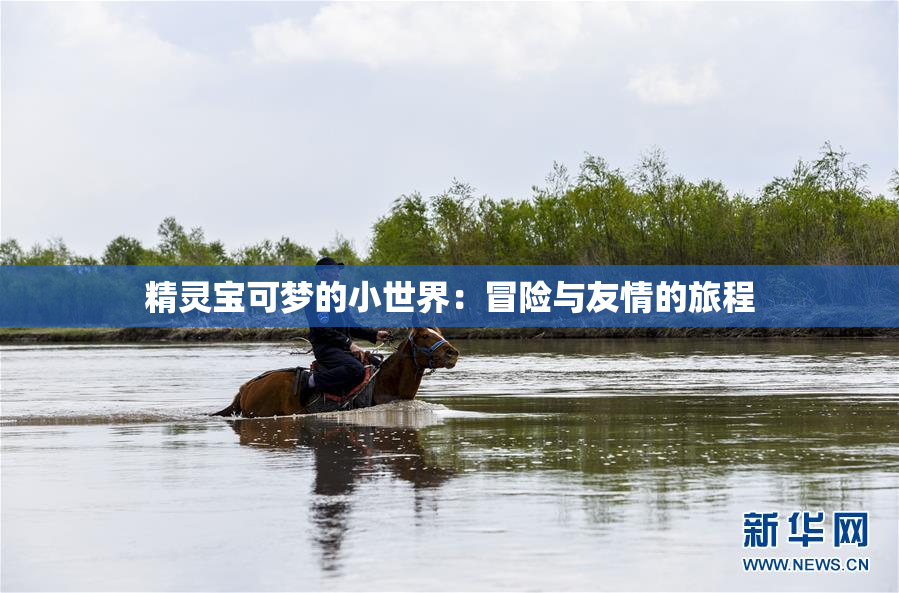 精灵宝可梦的小世界：冒险与友情的旅程
