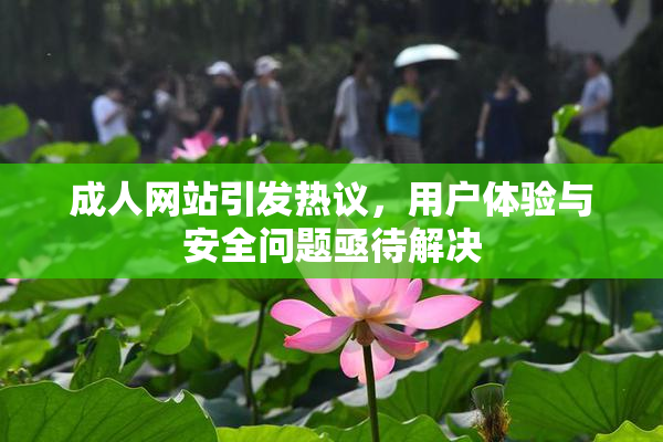 成人网站引发热议，用户体验与安全问题亟待解决