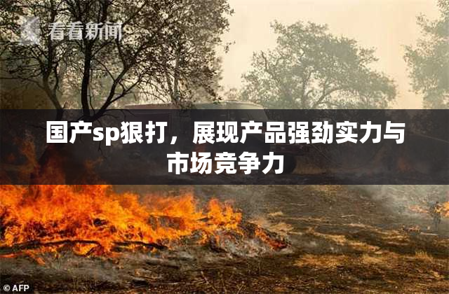 国产sp狠打，展现产品强劲实力与市场竞争力