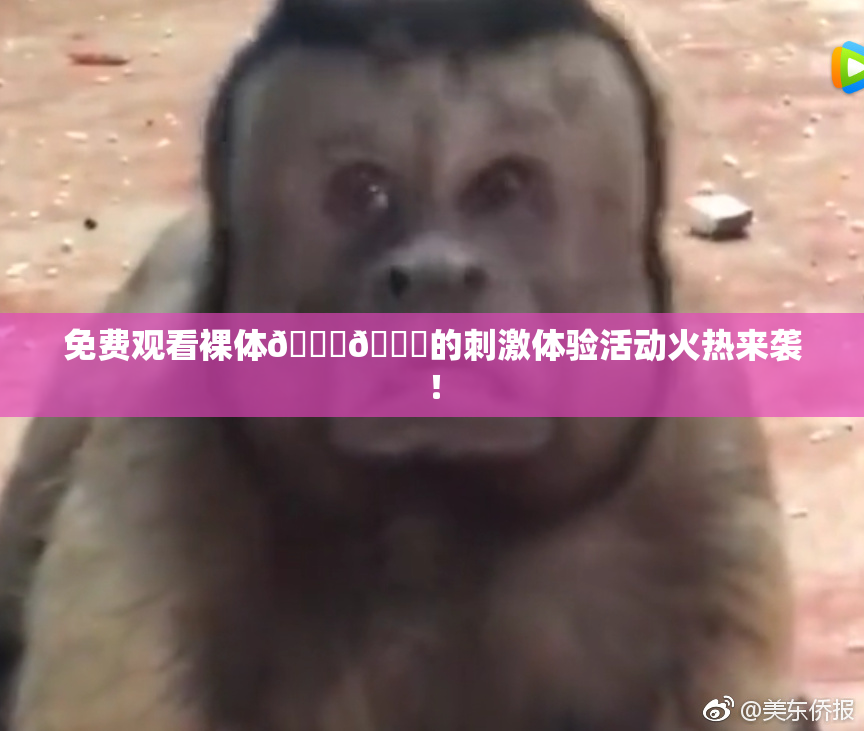 免费观看裸体🔞🔞的刺激体验活动火热来袭！