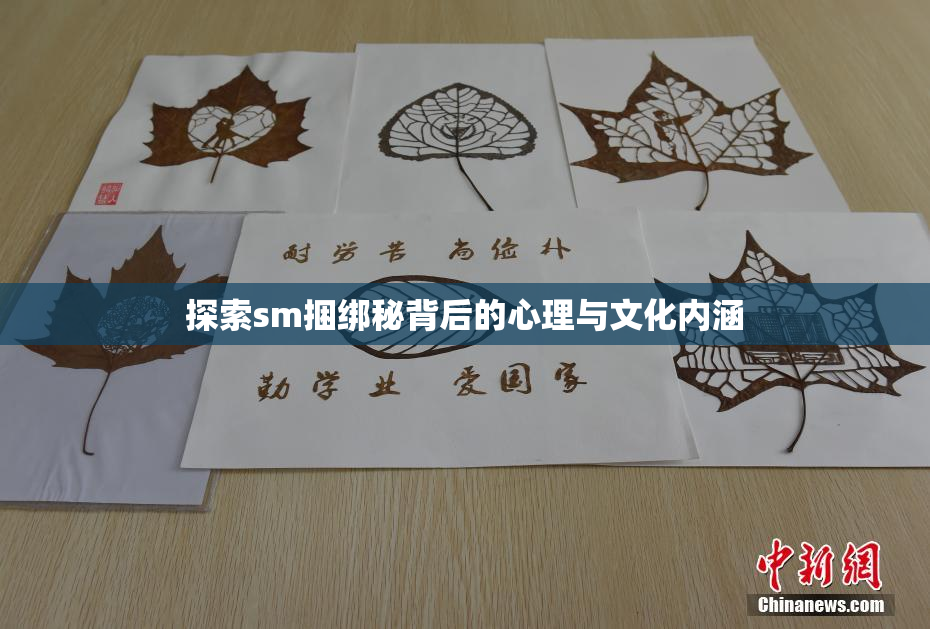 探索sm捆绑秘背后的心理与文化内涵