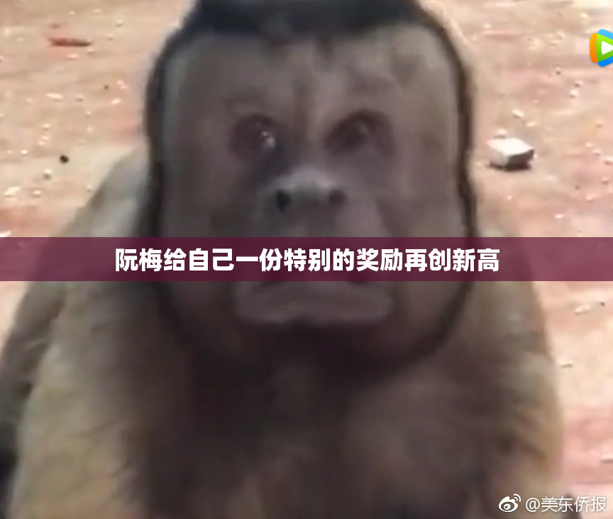 阮梅给自己一份特别的奖励再创新高