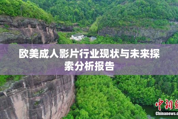 欧美成人影片行业现状与未来探索分析报告