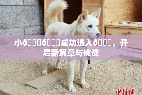 小🐔🐔成功进入🍑，开启新篇章与挑战