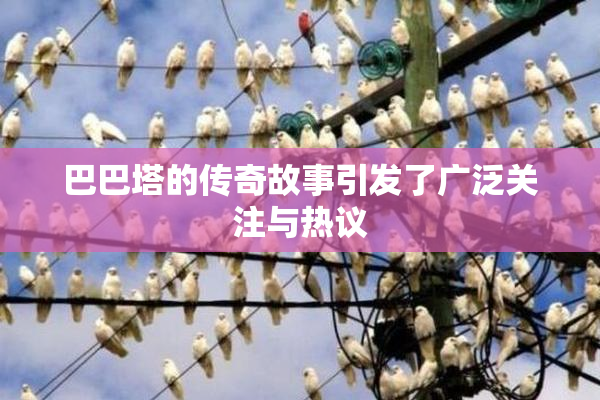 巴巴塔的传奇故事引发了广泛关注与热议