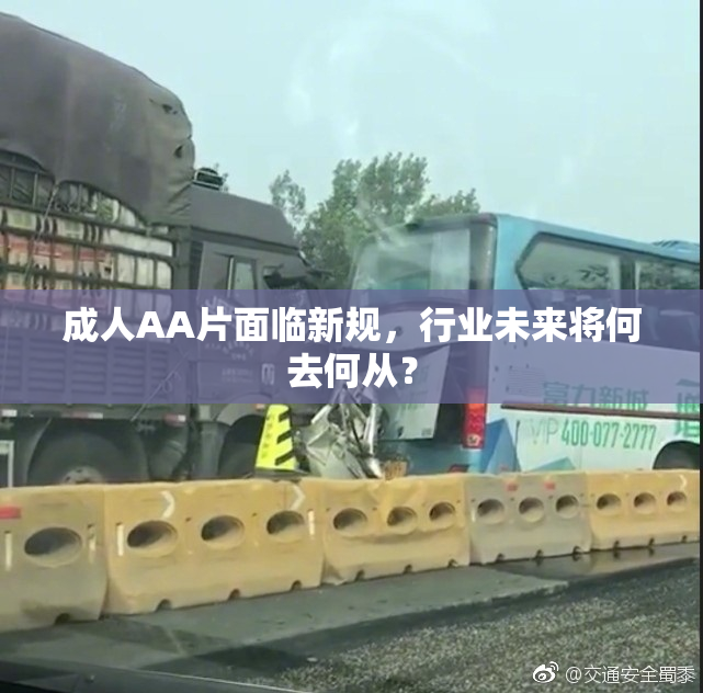 成人AA片面临新规，行业未来将何去何从？