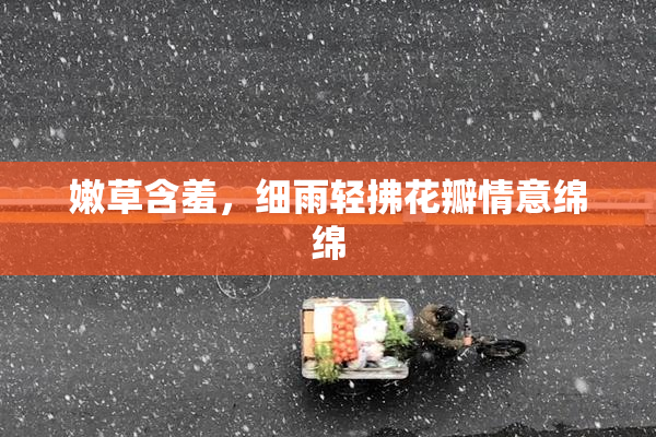 嫩草含羞，细雨轻拂花瓣情意绵绵