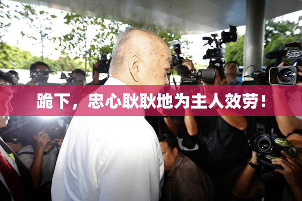 跪下，忠心耿耿地为主人效劳！