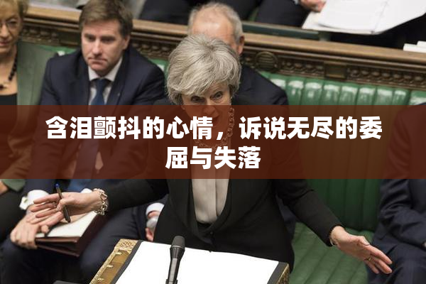含泪颤抖的心情，诉说无尽的委屈与失落