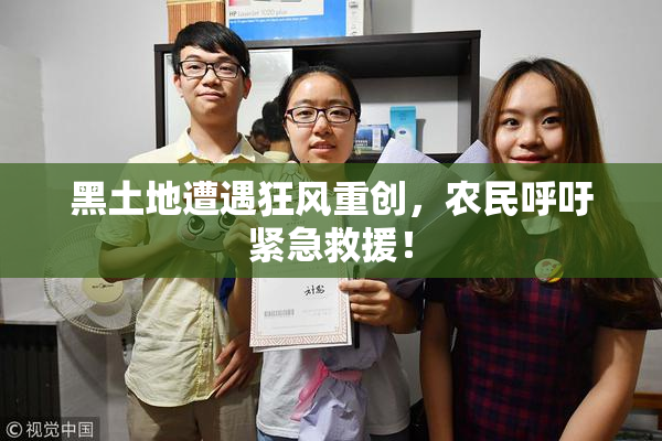 黑土地遭遇狂风重创，农民呼吁紧急救援！