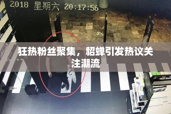 狂热粉丝聚集，貂蝉引发热议关注潮流