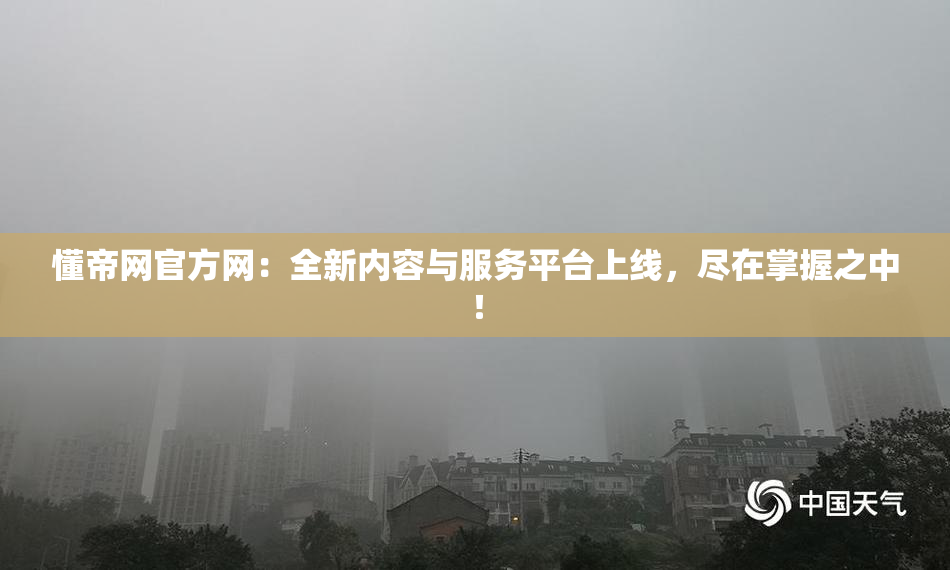懂帝网官方网：全新内容与服务平台上线，尽在掌握之中！