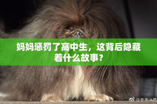 妈妈惩罚了高中生，这背后隐藏着什么故事？