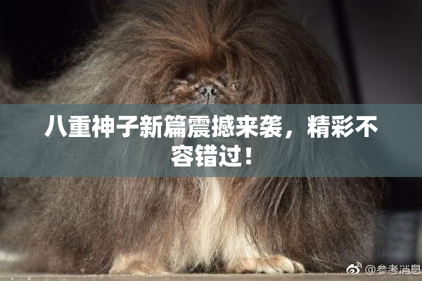 八重神子新篇震撼来袭，精彩不容错过！