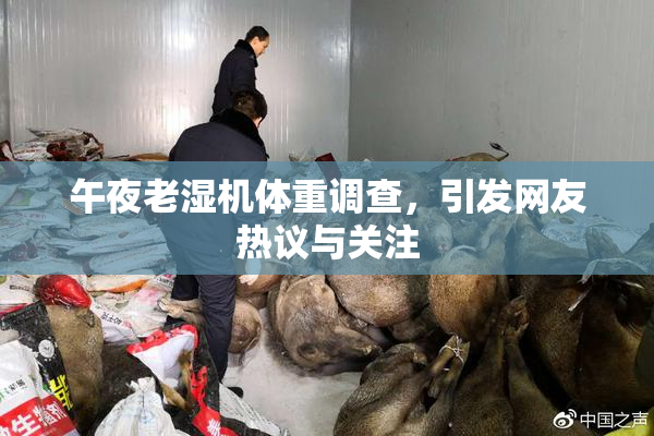午夜老湿机体重调查，引发网友热议与关注
