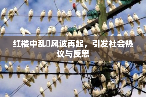 红楼中乱婬风波再起，引发社会热议与反思