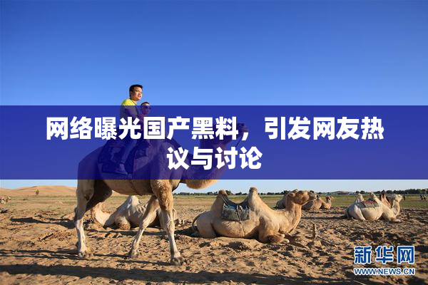 网络曝光国产黑料，引发网友热议与讨论