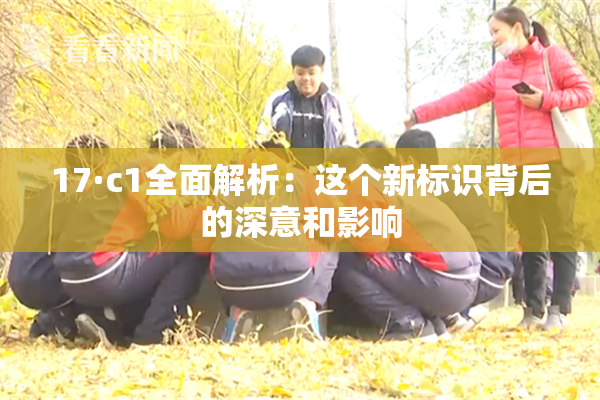 17·c1全面解析：这个新标识背后的深意和影响