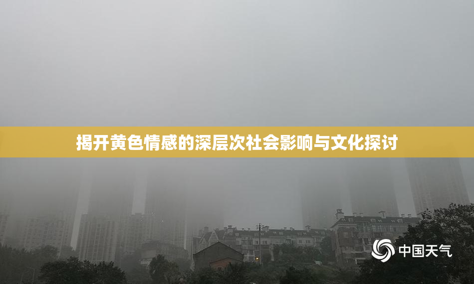 揭开黄色情感的深层次社会影响与文化探讨