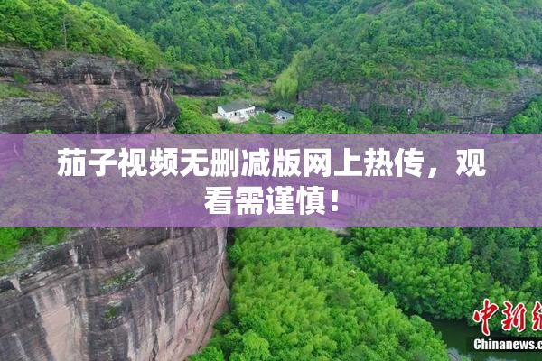 茄子视频无删减版网上热传，观看需谨慎！