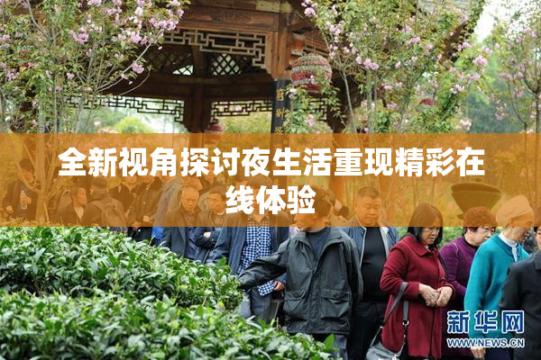 全新视角探讨夜生活重现精彩在线体验