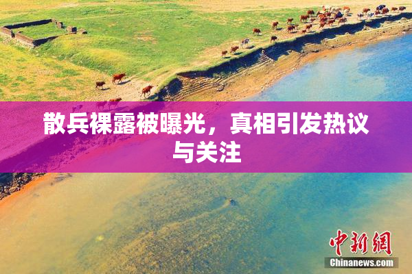 散兵裸露被曝光，真相引发热议与关注