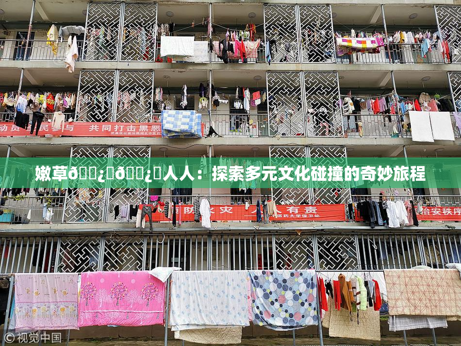 嫩草🌿‌🌿‌人人：探索多元文化碰撞的奇妙旅程