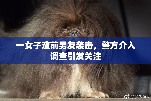 一女子遭前男友袭击，警方介入调查引发关注