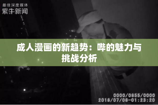 成人漫画的新趋势：哔的魅力与挑战分析