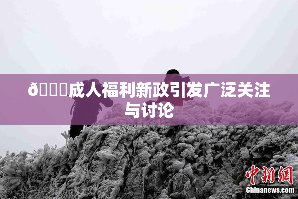 🔞成人福利新政引发广泛关注与讨论