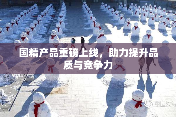 国精产品重磅上线，助力提升品质与竞争力