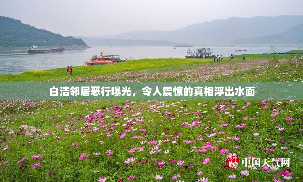白洁邻居恶行曝光，令人震惊的真相浮出水面