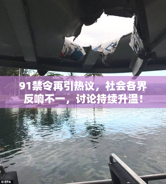 91禁令再引热议，社会各界反响不一，讨论持续升温！
