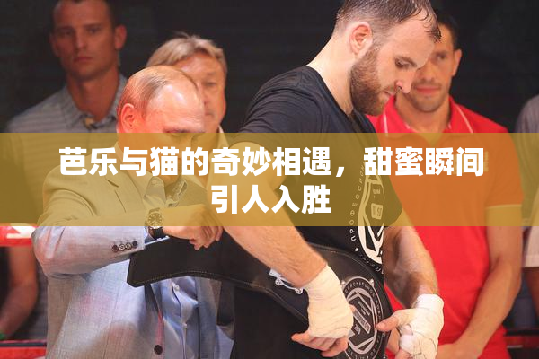 芭乐与猫的奇妙相遇，甜蜜瞬间引人入胜