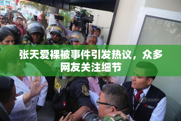 张天爱裸被事件引发热议，众多网友关注细节