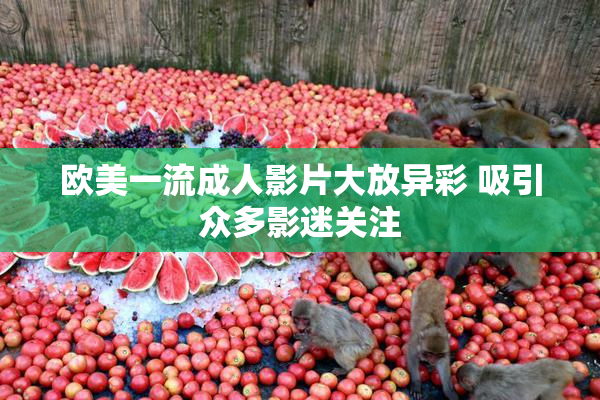 欧美一流成人影片大放异彩 吸引众多影迷关注