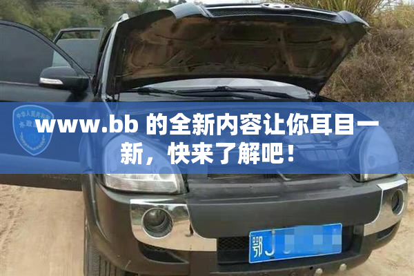 www.bb 的全新内容让你耳目一新，快来了解吧！