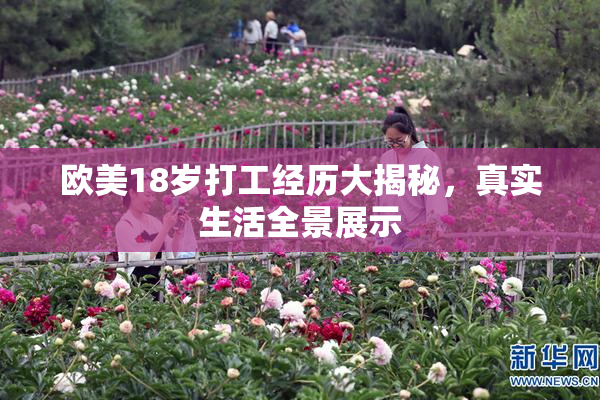 欧美18岁打工经历大揭秘，真实生活全景展示