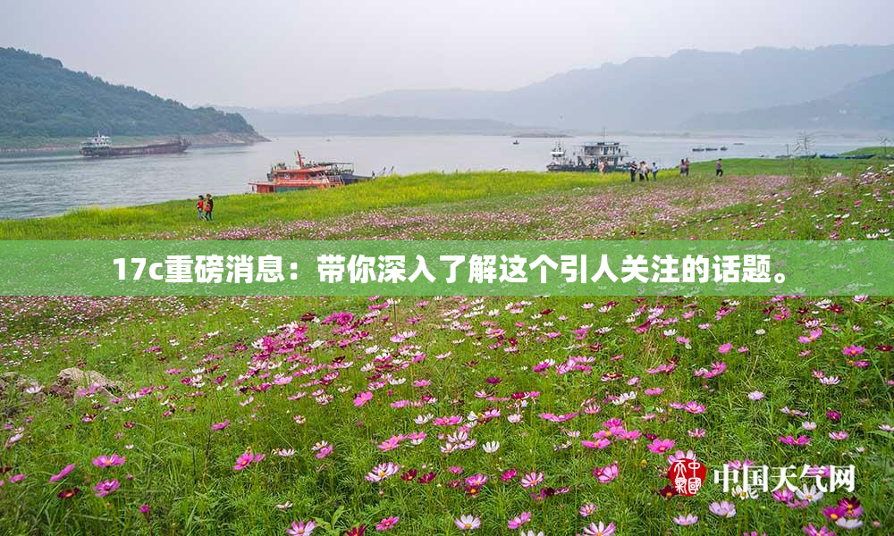 17c重磅消息：带你深入了解这个引人关注的话题。