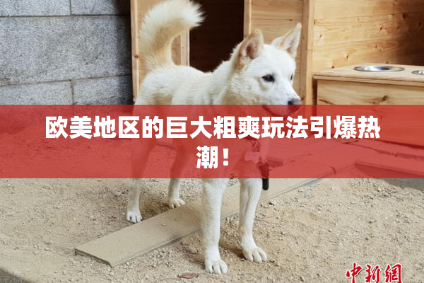 欧美地区的巨大粗爽玩法引爆热潮！