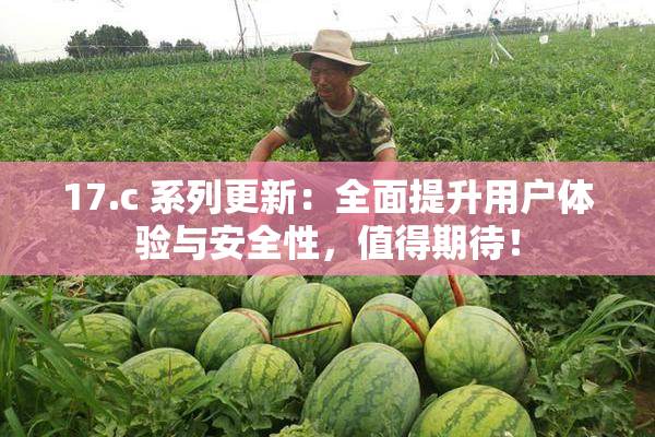 17.c 系列更新：全面提升用户体验与安全性，值得期待！