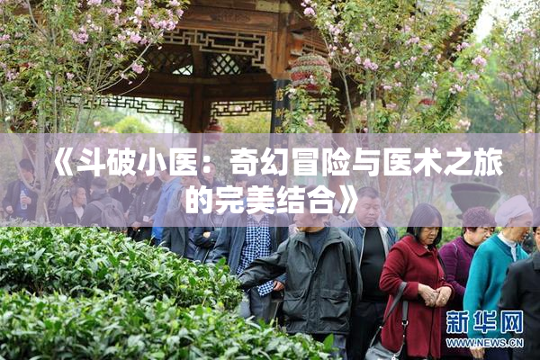 《斗破小医：奇幻冒险与医术之旅的完美结合》