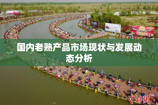 国内老熟产品市场现状与发展动态分析